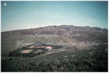 写真D.jpg