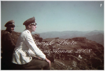 写真F.jpg