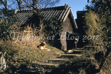 大勝利山へ1.jpg